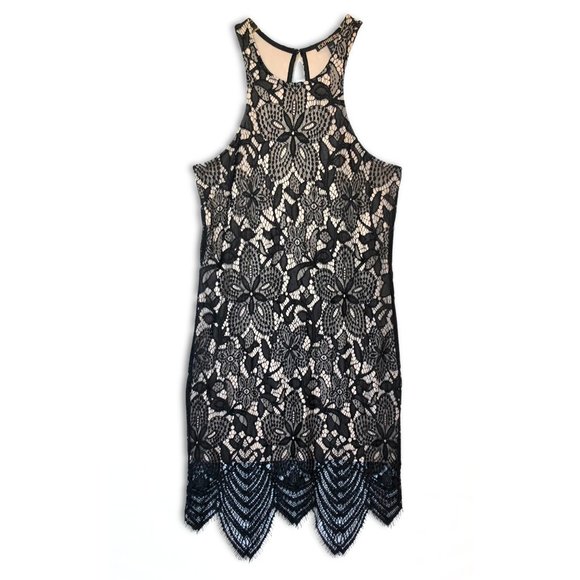 Express Women's Black Sheer Floral Lace Contrast Scalloped Hem Sheath Dress - Picture 7 of 13